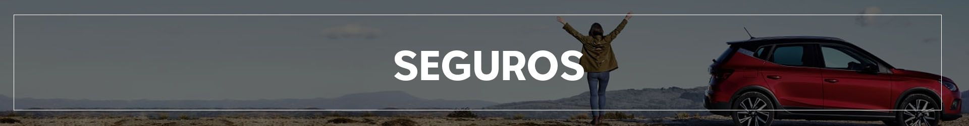 SEGUROS | Automocion Terry Concesionario Cadiz