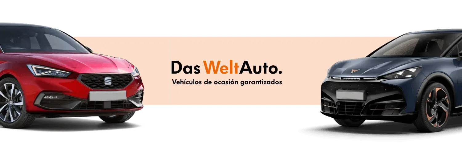 Coches Concesionario Seat Automoción Terry