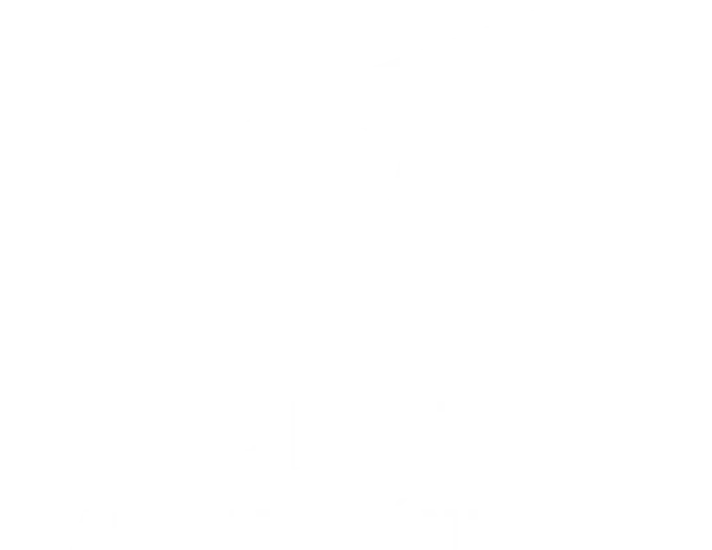 Coches Concesionario Seat Automoción Terry