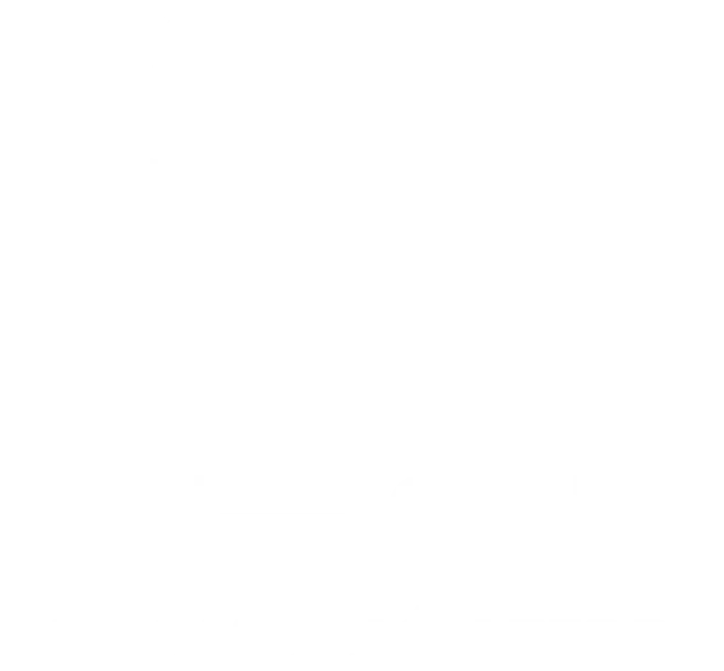 Coches Concesionario Seat Automoción Terry